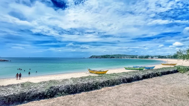 Generated Image October 20, 2025 - 8_05AM