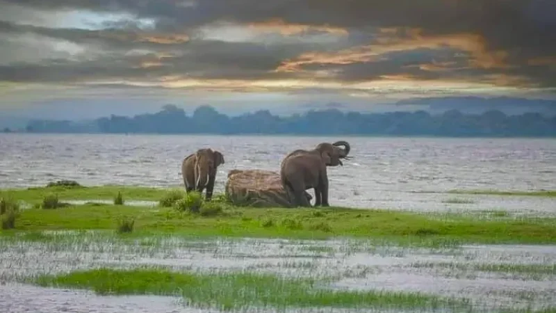 Giritale Tank & Village6