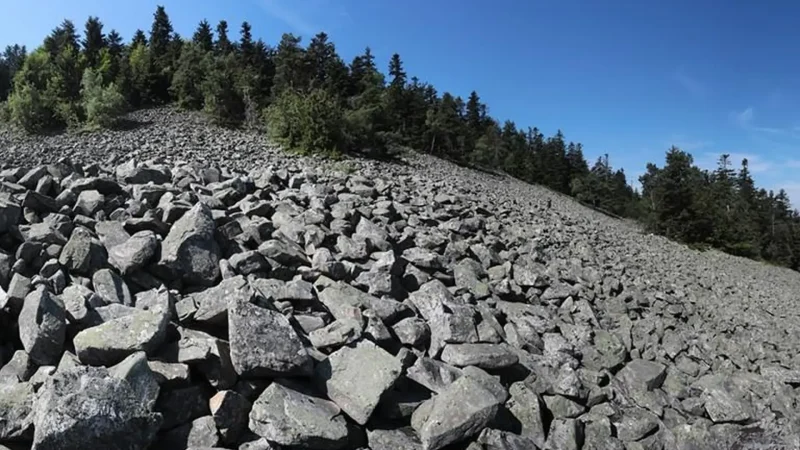 Gołoborza_Stone_Fields_03