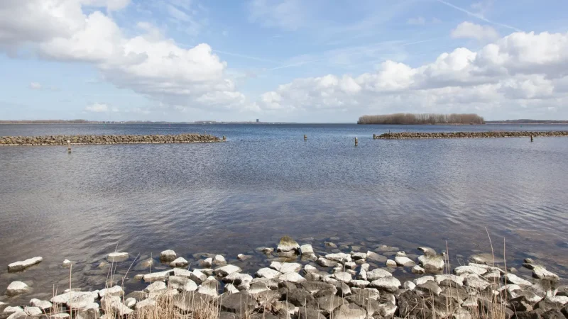 Gooimeer_(Goose_Lake)_01