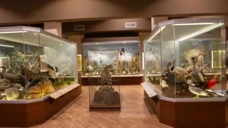 Goulandris_Natural_History_Museum_02