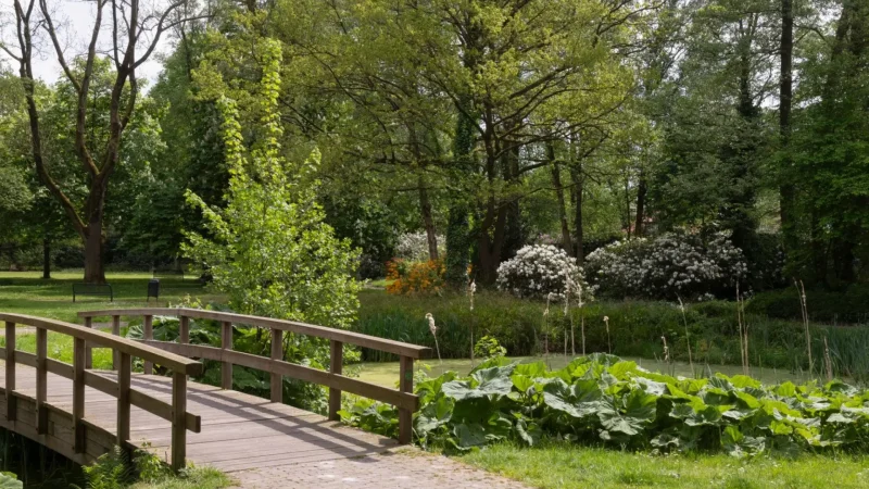 Gouverneurstuin_Park_03