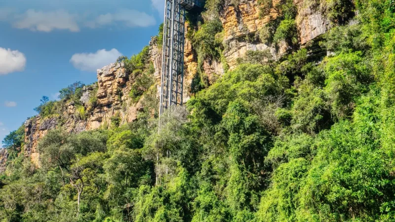 Graskop_Gorge_Lift_тАУ_Forest_descent_and_suspension_bridge_05