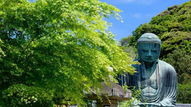 Great Buddha of Kamakura (Kotoku-in)(3)