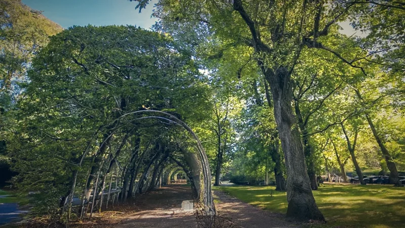 Green Parks – Relaxation spots(5)