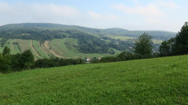 Green_Hills_Surrounding_Town_02