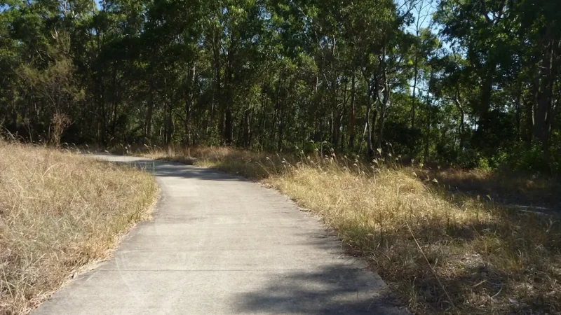 Greenpoint_Walkway_тАУ_Forest_and_coastal_track_04