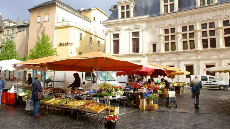 Grenoble Old Town – Historic streets & cafés(2)