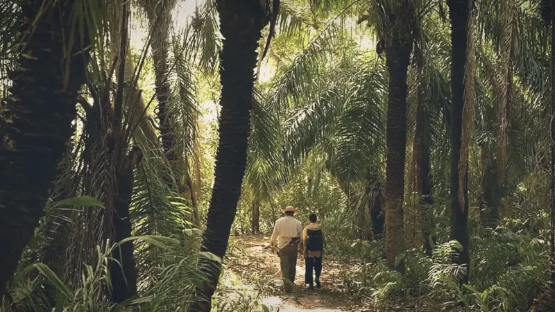 Guided Nature Walks – Flora and fauna(3)