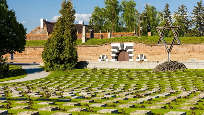 Guided Tour Areas – Educational visit spaces(4)