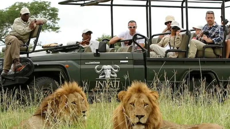 Guided_Game_Drives_тАУ_Ranger-led_safaris_04