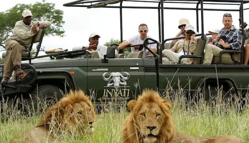 Guided_Game_Drives_тАУ_Ranger-led_safaris_04