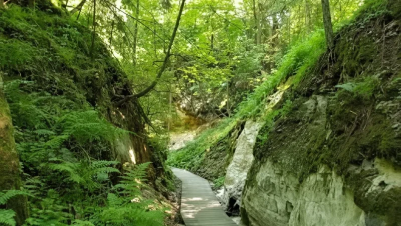 Haanja Hiking Trails – Marked nature walking routes(5)