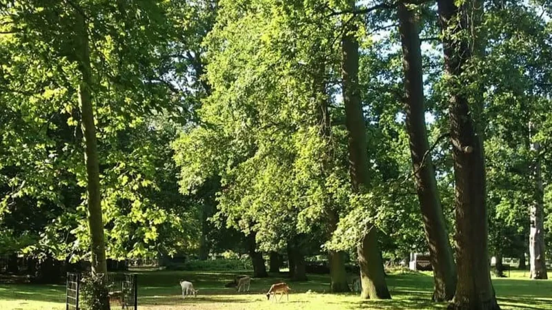 Haarlemmerhout_Park_03