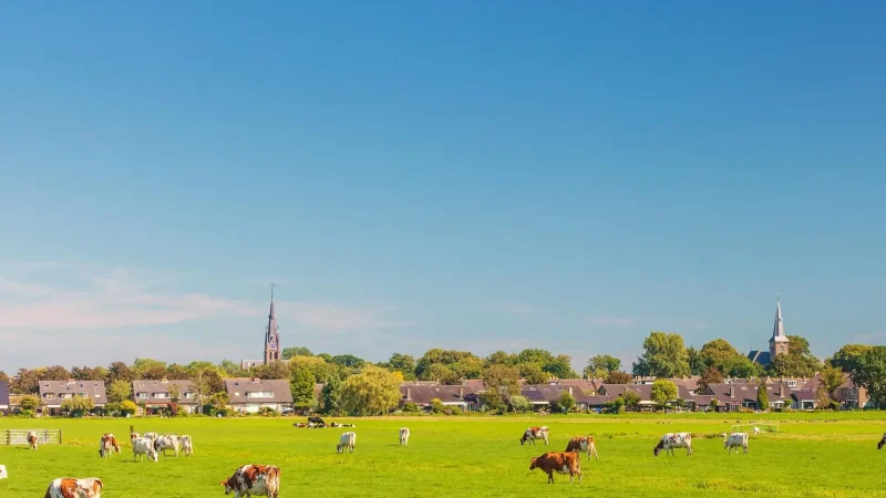 Haarzuilens_Village_04