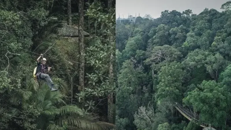 Habitat Zipline(4)