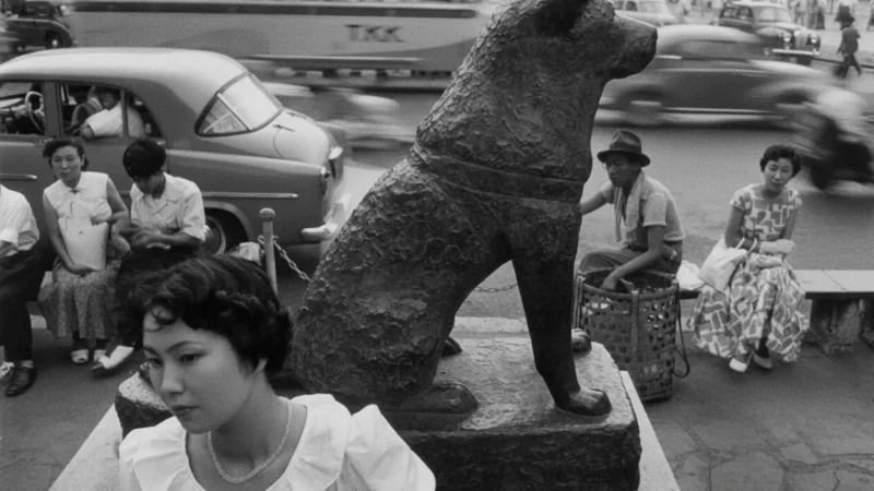 Hachiko Statue(3)