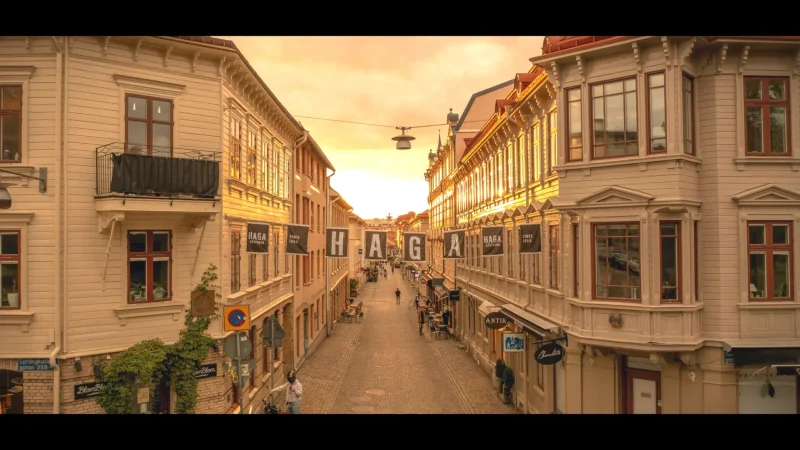 Haga District – Historic wooden houses, cafes, shops(3)