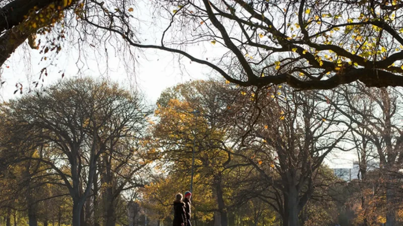 Hagley_Park_тАУ_Large_central_green_space_02