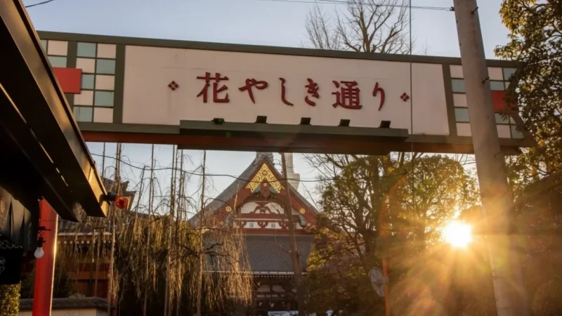 Hanayashiki Amusement Park(5)