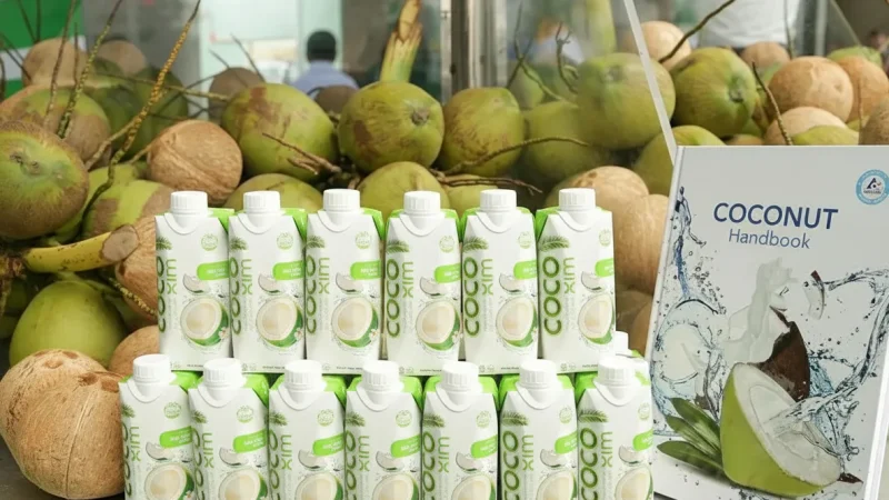 Handmade Coconut Product Shops(2)