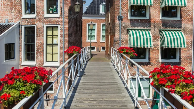 Hanging_Bridge_of_Appingedam_05