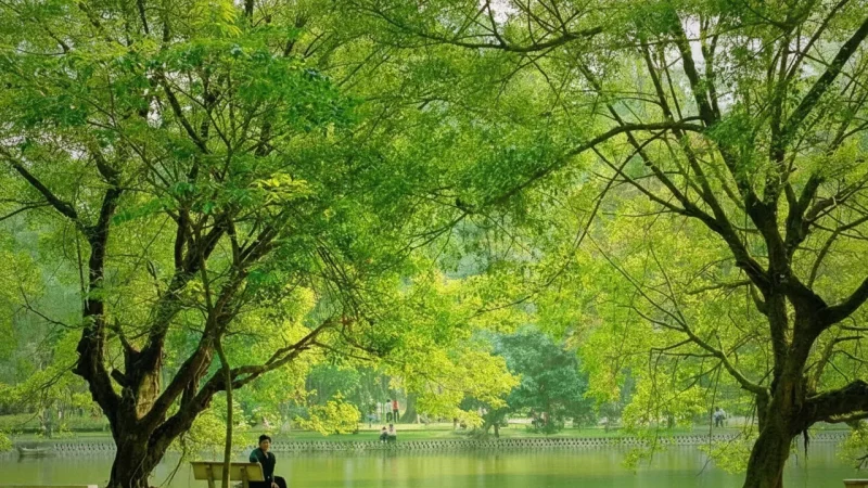 Hanoi Botanical Garden(4)