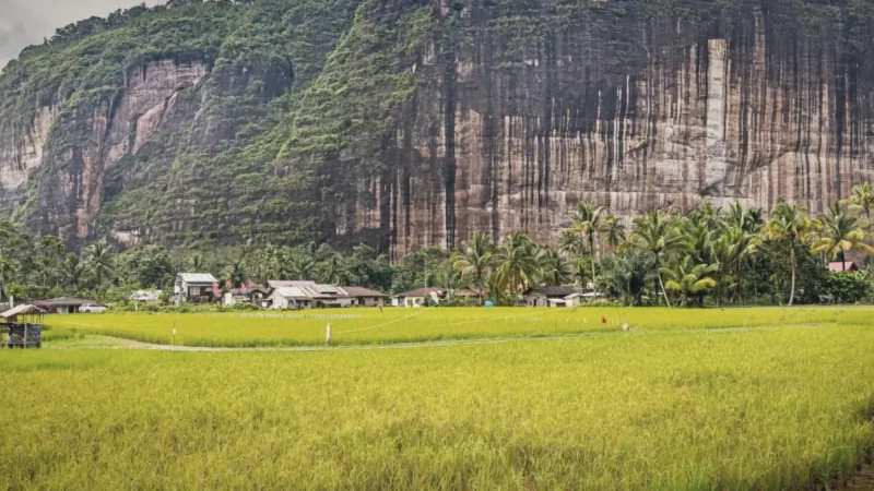 Harau Valley(6)
