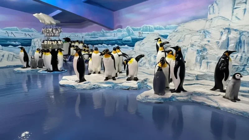 Harbin Polarland(5)
