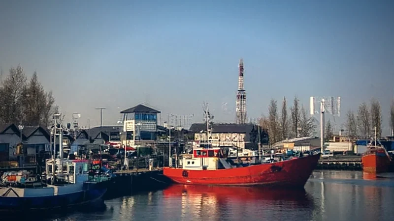 Harbor Area(6)
