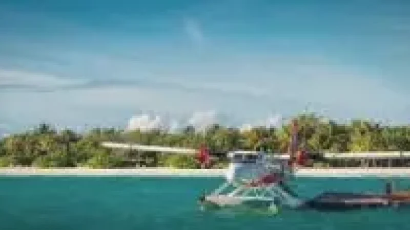 Harbour Area – A scenic location with boats and(1)