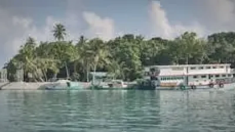 Harbour Area – Scenic boat and ocean view(1)