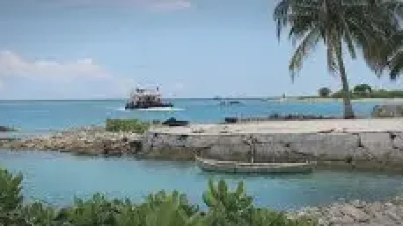 Harbour Area – Scenic boat and(6)