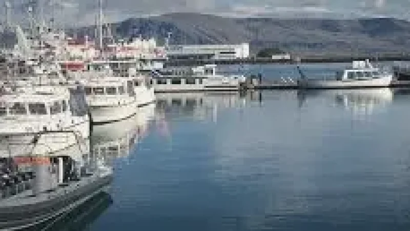 Harbour Area – Scenic ocean and(2)
