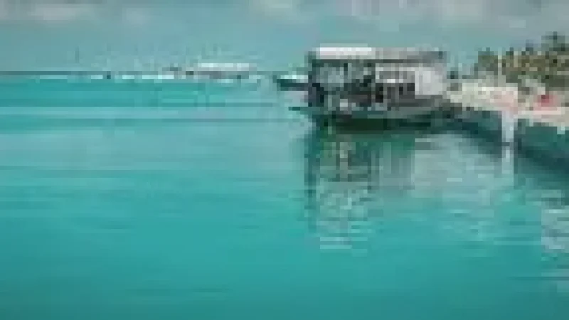 Harbour Area –(4)