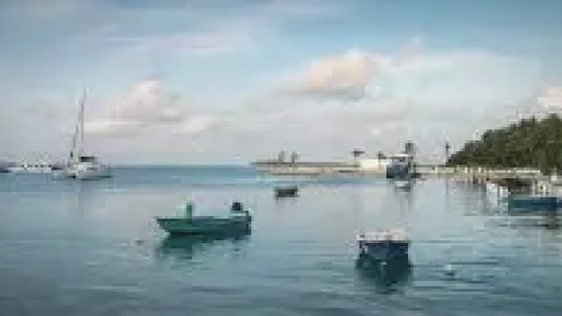 Harbour Area(1)