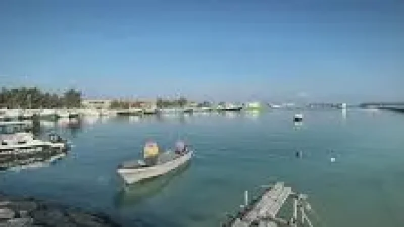 Harbour Area(4)