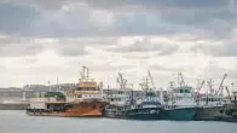 Harbour Area(5)