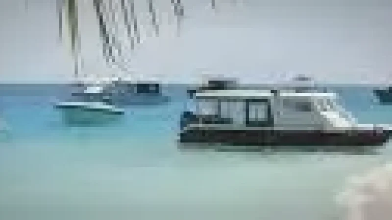 Harbour Area(6)