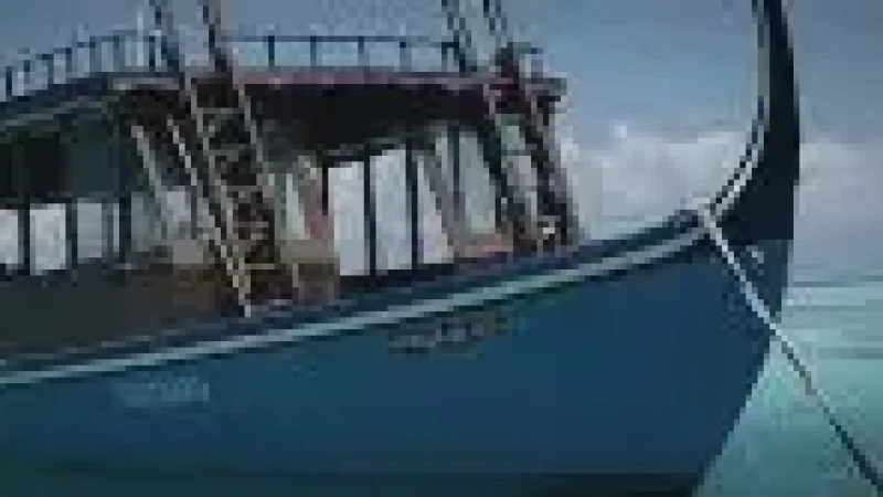 Harbour Front – Boat views and calm sea(1)