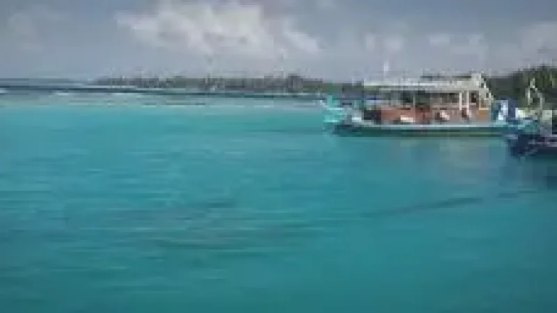 Harbour View – Boats and scenic ocean surroundin(1)