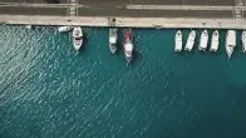 Harbour View – Boats and scenic ocean surroundin(6)