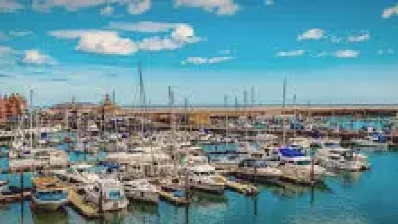 Harbour Viewpoi(1)