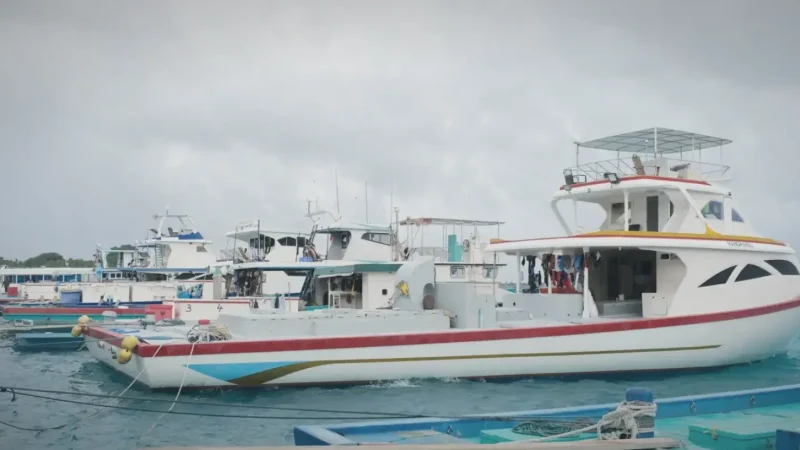Harbour Viewpoint – Boats & Views(3)