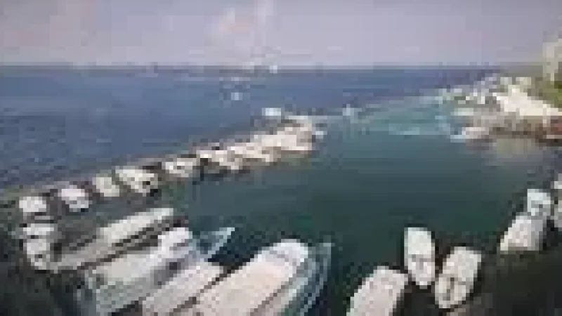 Harbour Viewpoint – Scenic ocean and boat views(4)