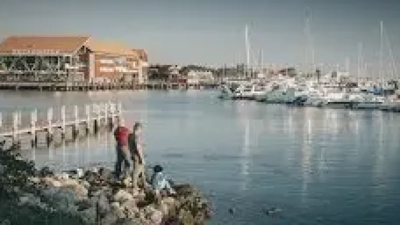 Harbour Viewpoint(4)
