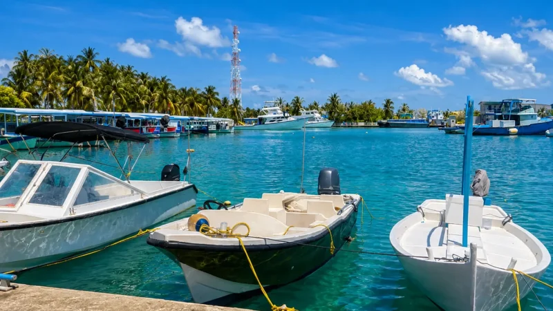 Harbour_Area_–_Boat_views_and_sea_breeze__03