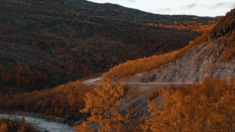 Hardangerfjord Scenic Route – Fjord-side Driving Views(6)