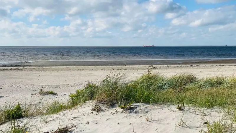 Harlingen_Beach_01