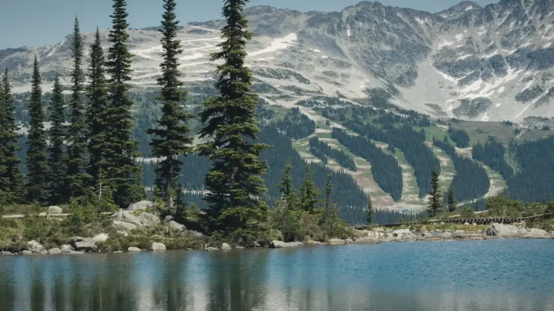 Harmony Lake – Quiet nature walk(3)
